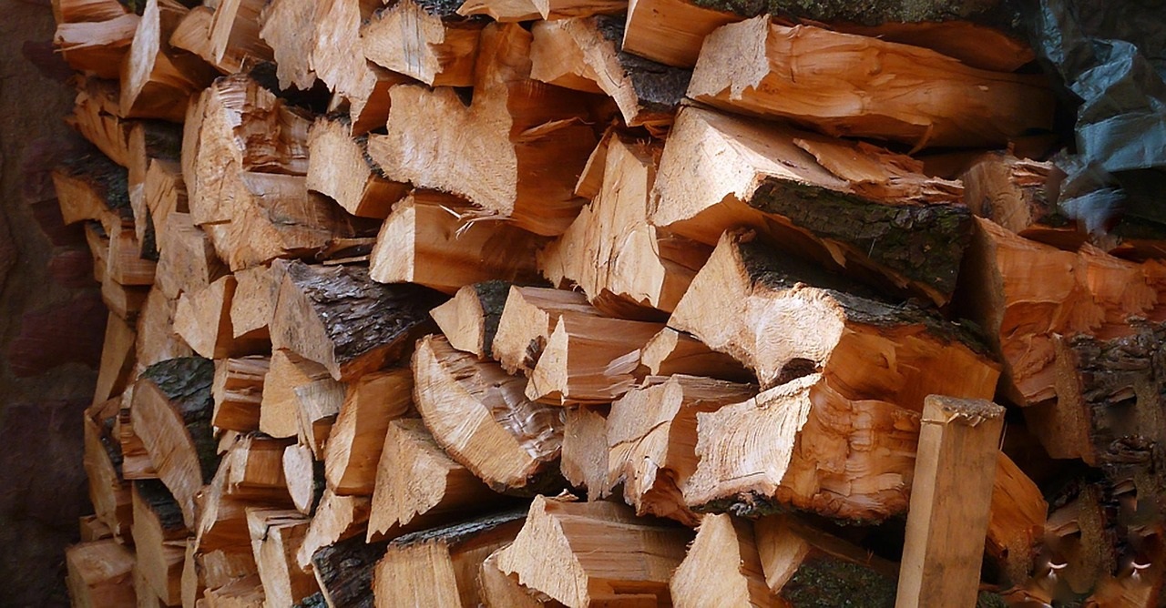 Firewood